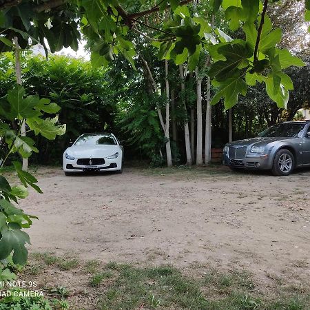 Apartment Albert Parking Prive Gratuit Limoux Εξωτερικό φωτογραφία