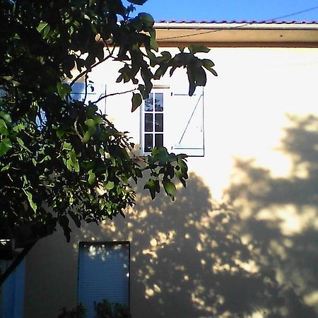 Apartment Albert Parking Prive Gratuit Limoux Εξωτερικό φωτογραφία