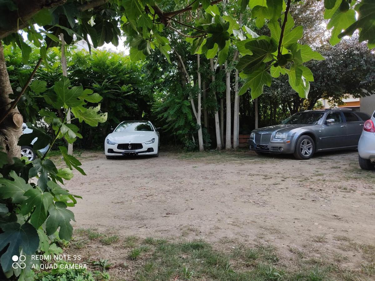 Apartment Albert Parking Prive Gratuit Limoux Εξωτερικό φωτογραφία