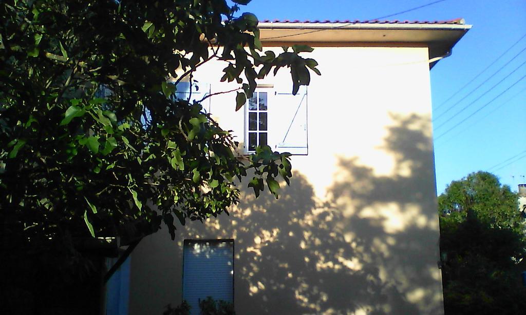 Apartment Albert Parking Prive Gratuit Limoux Εξωτερικό φωτογραφία