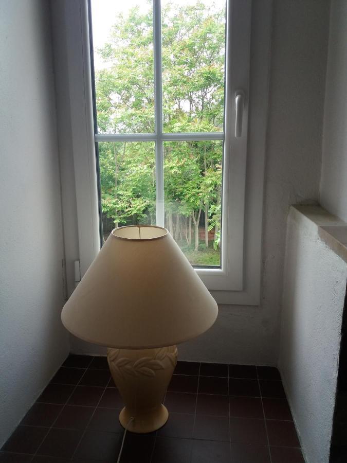 Apartment Albert Parking Prive Gratuit Limoux Εξωτερικό φωτογραφία